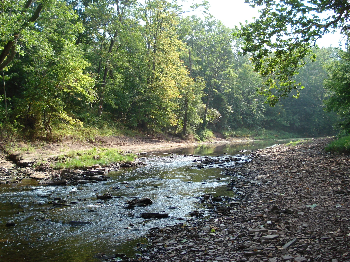 An image depicting the trail Skippack Creek Loop and its surrounding area.