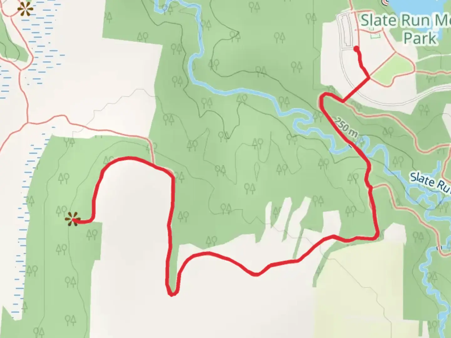 An image depicting the trail Sugar Maple and Bobolink Grassland Trail and its surrounding area.