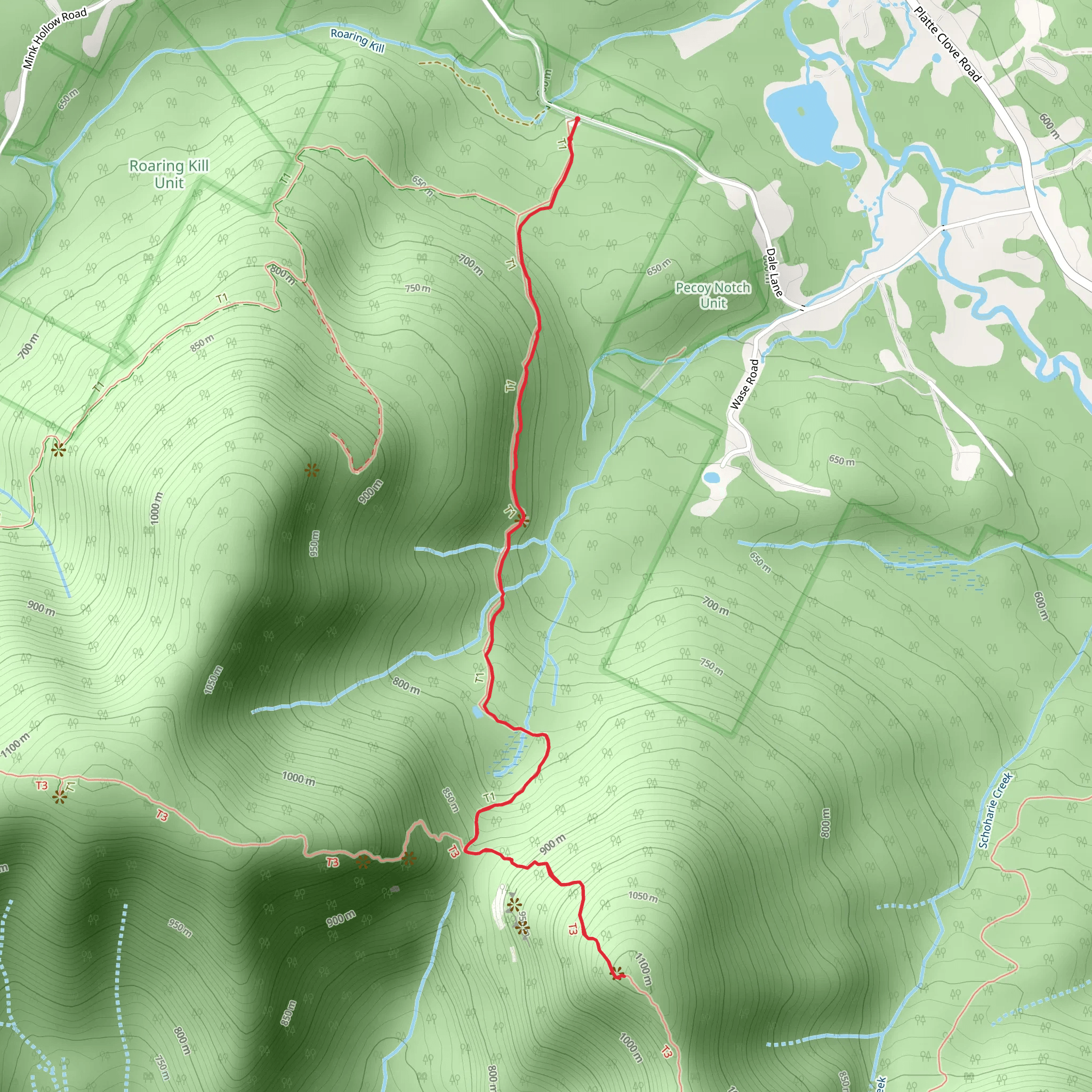 Twin Mountain via Pecoy Notch Trail mobile static map