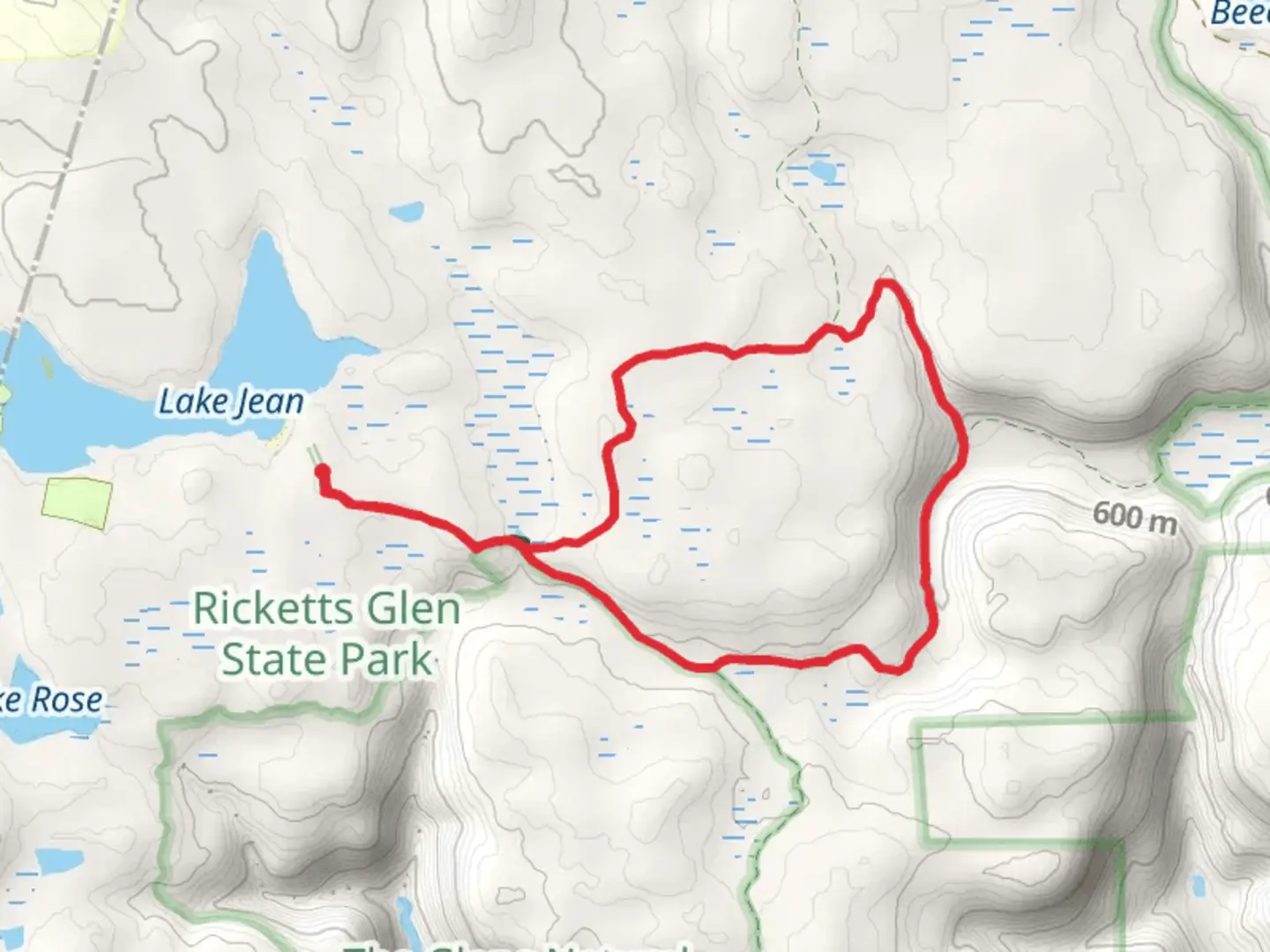 An image depicting the trail South Branch Bowman Creek Loop Trail and its surrounding area.