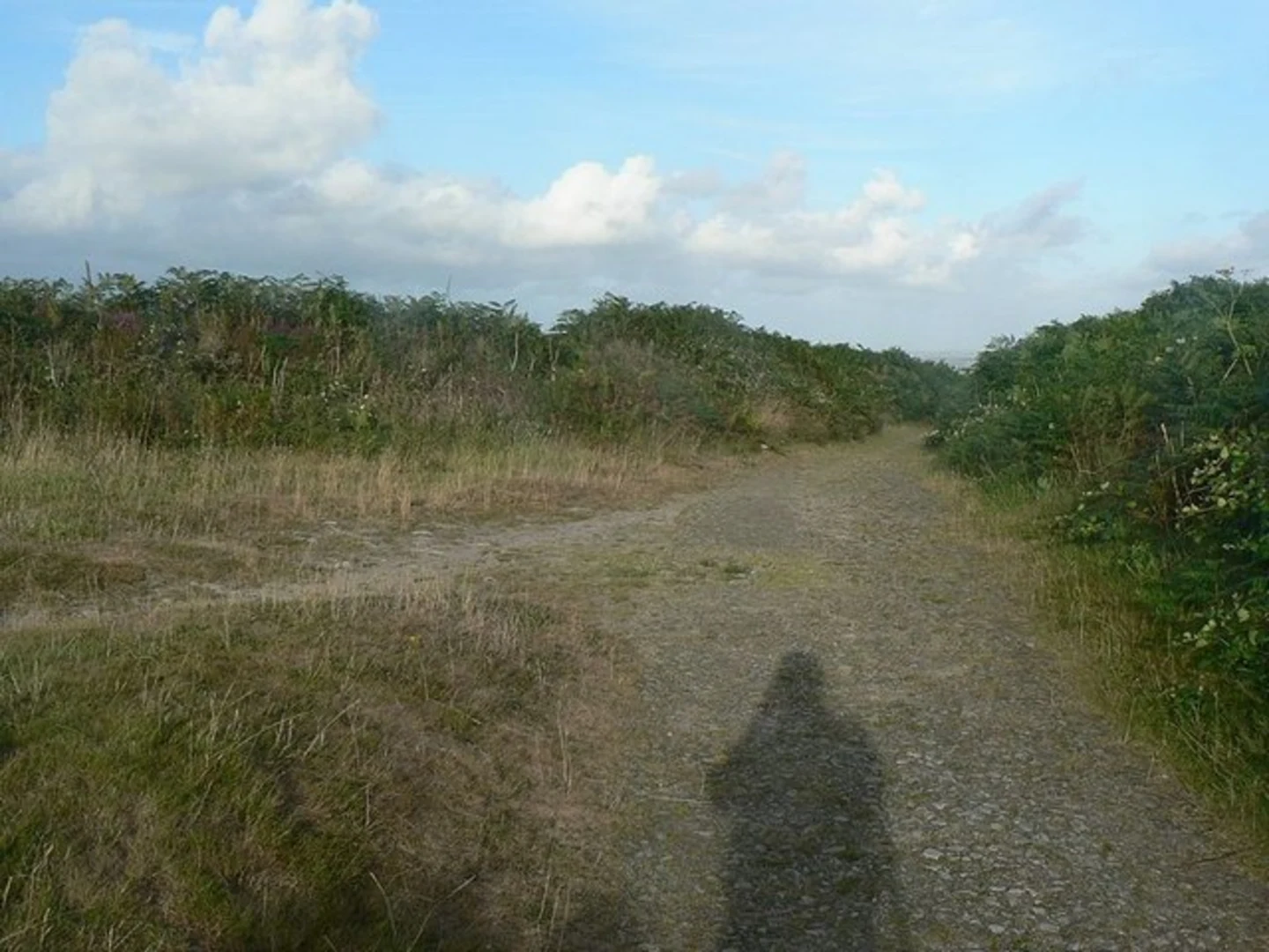 An image depicting the trail Godolphin Hill and Tregonning Hill Loop and its surrounding area.