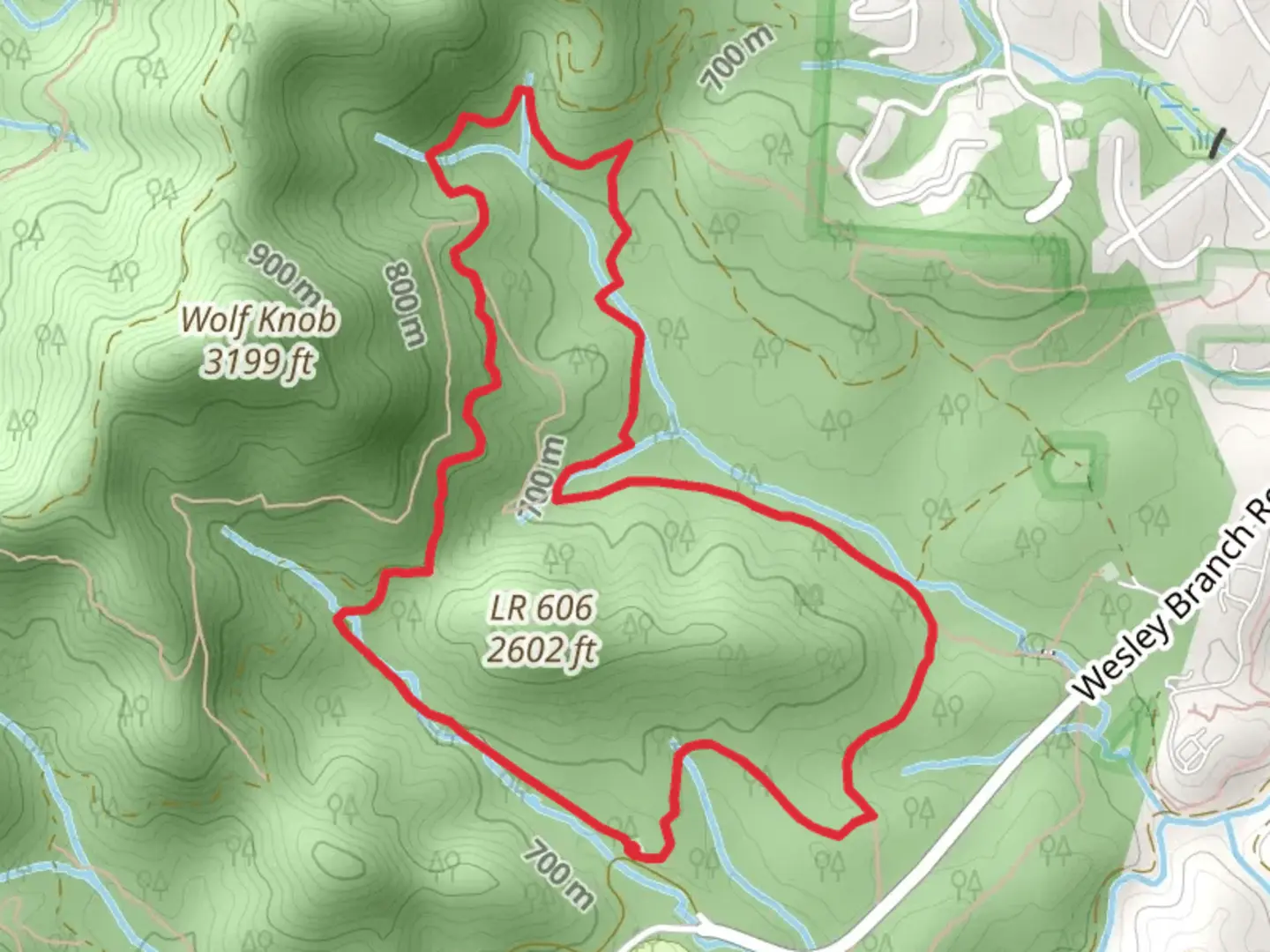 An image depicting the trail Ledford and Wolf Branch Loop Trail and its surrounding area.