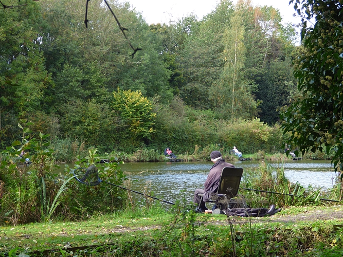 Dingle Lake and St Mary's Wood