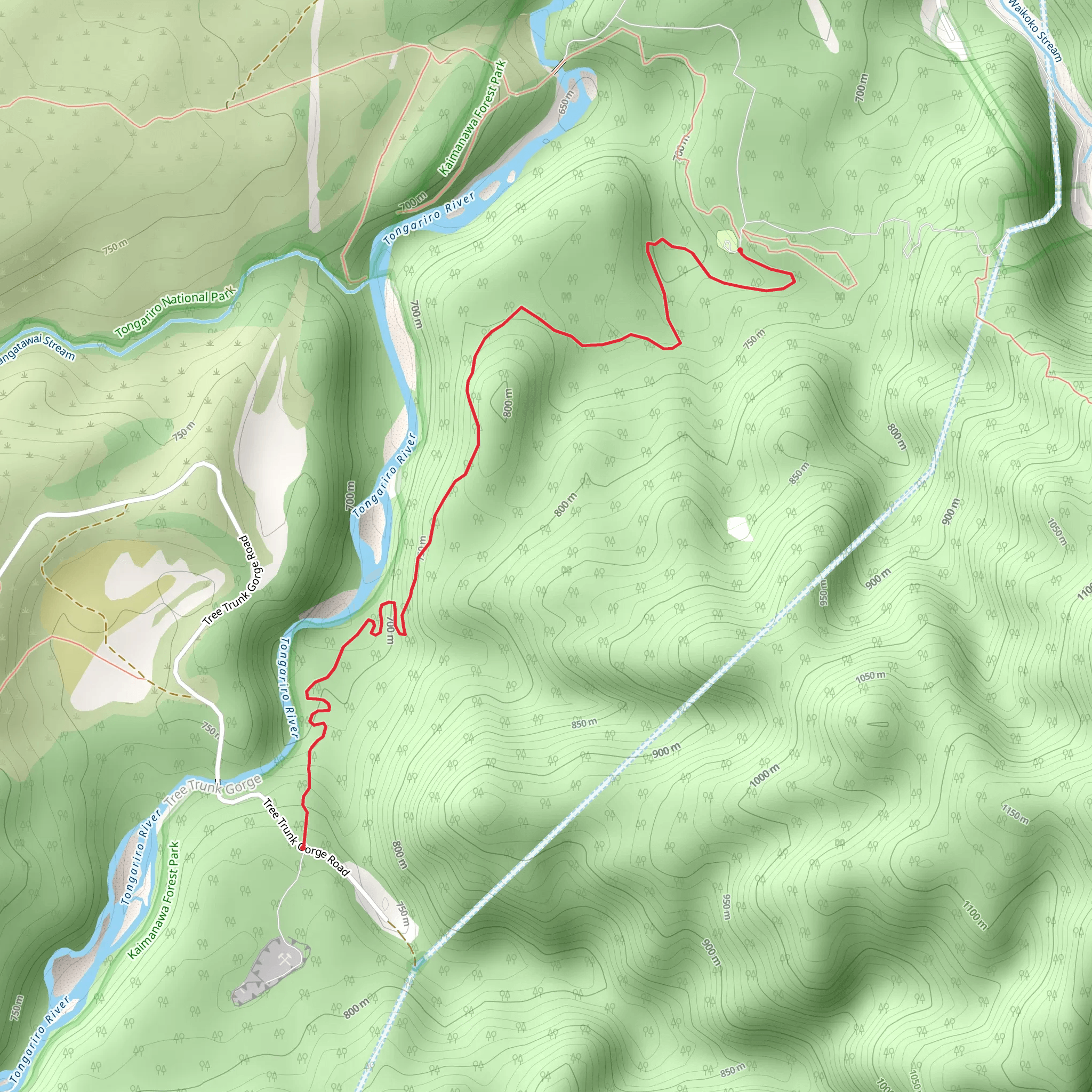 Tree Trunk Gorge Track mobile static map