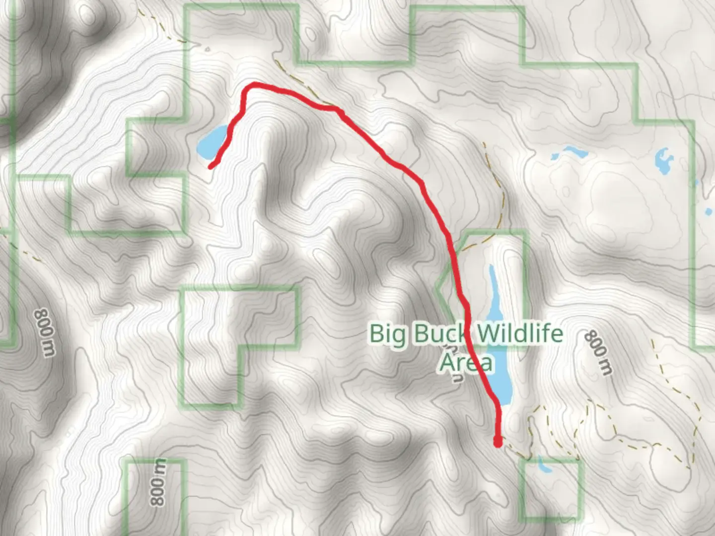 An image depicting the trail Aspen Lake Walk and its surrounding area.