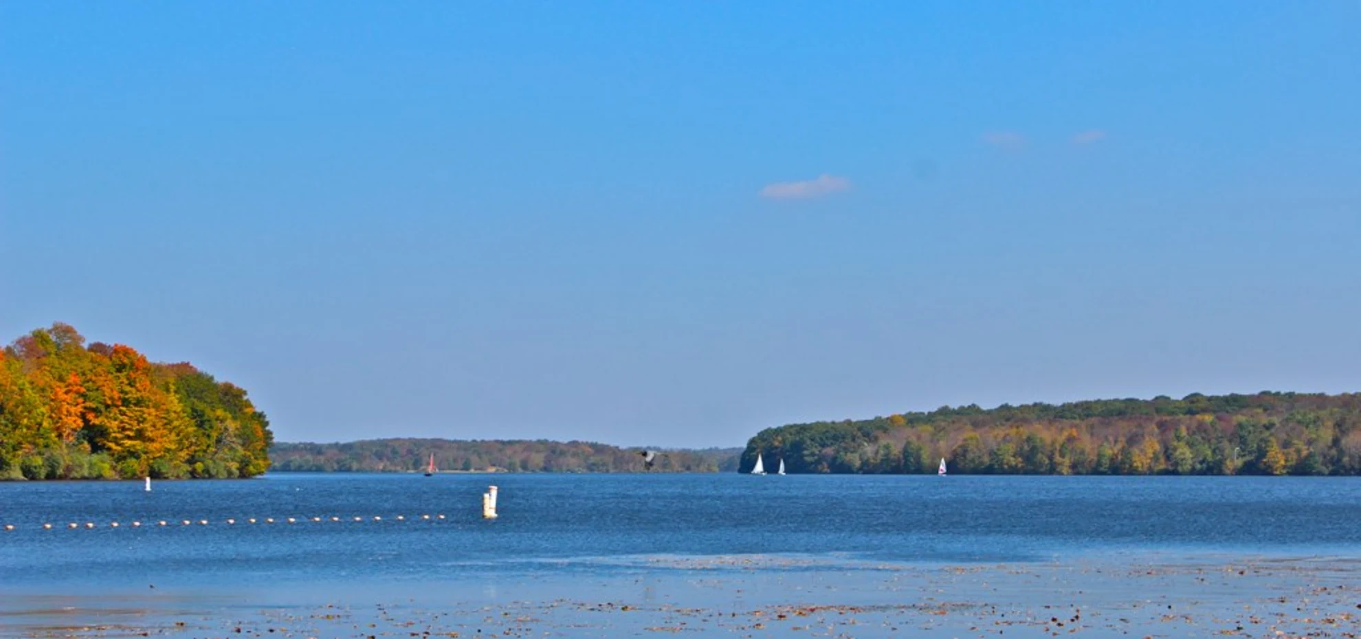 An image depicting the trail Sterner Mill Trail and its surrounding area.