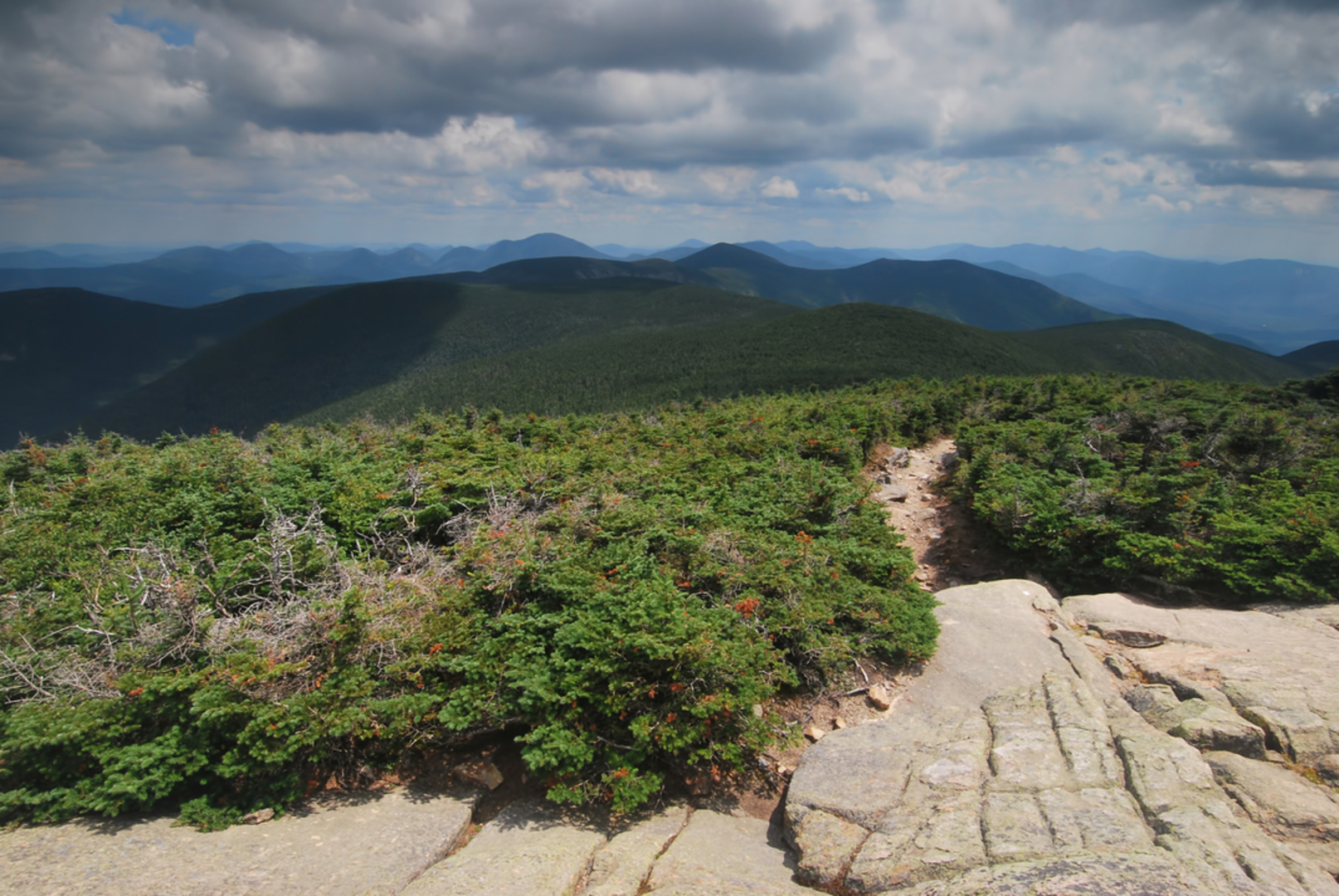An image depicting the trail Pine Bend Brook Trail and its surrounding area.