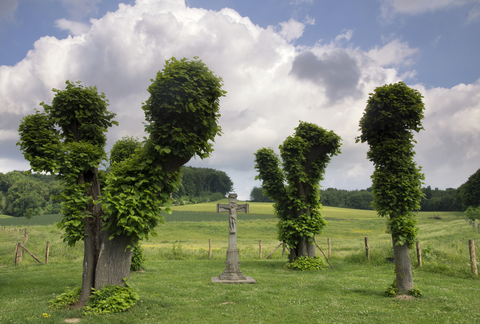 Terborgh, De Burgvallen and De Maarsch Loop