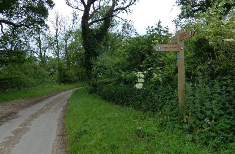 Thompson to Castle Acre Walk