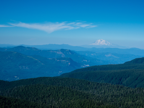 An image depicting the trail Sherrard Point Trail and its surrounding area.