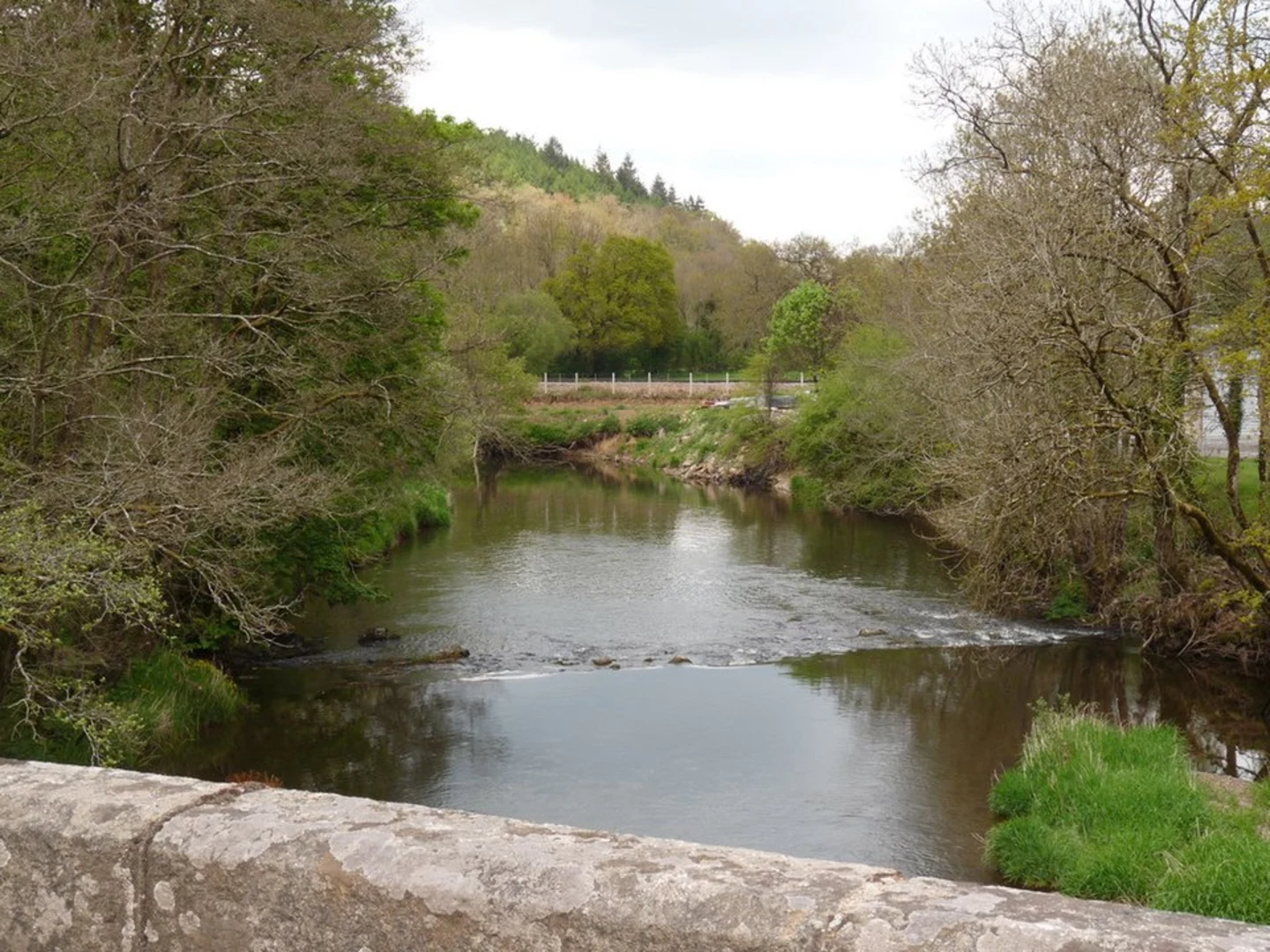 An image depicting the trail Arlingham and River Severn Loop and its surrounding area.