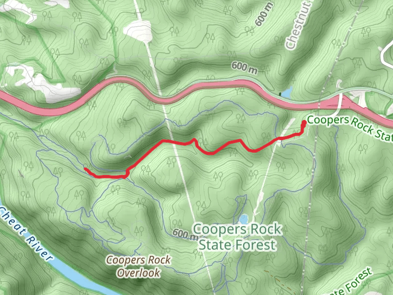 Advanced Ski Trail and Mont Chateau Trail - North Walk