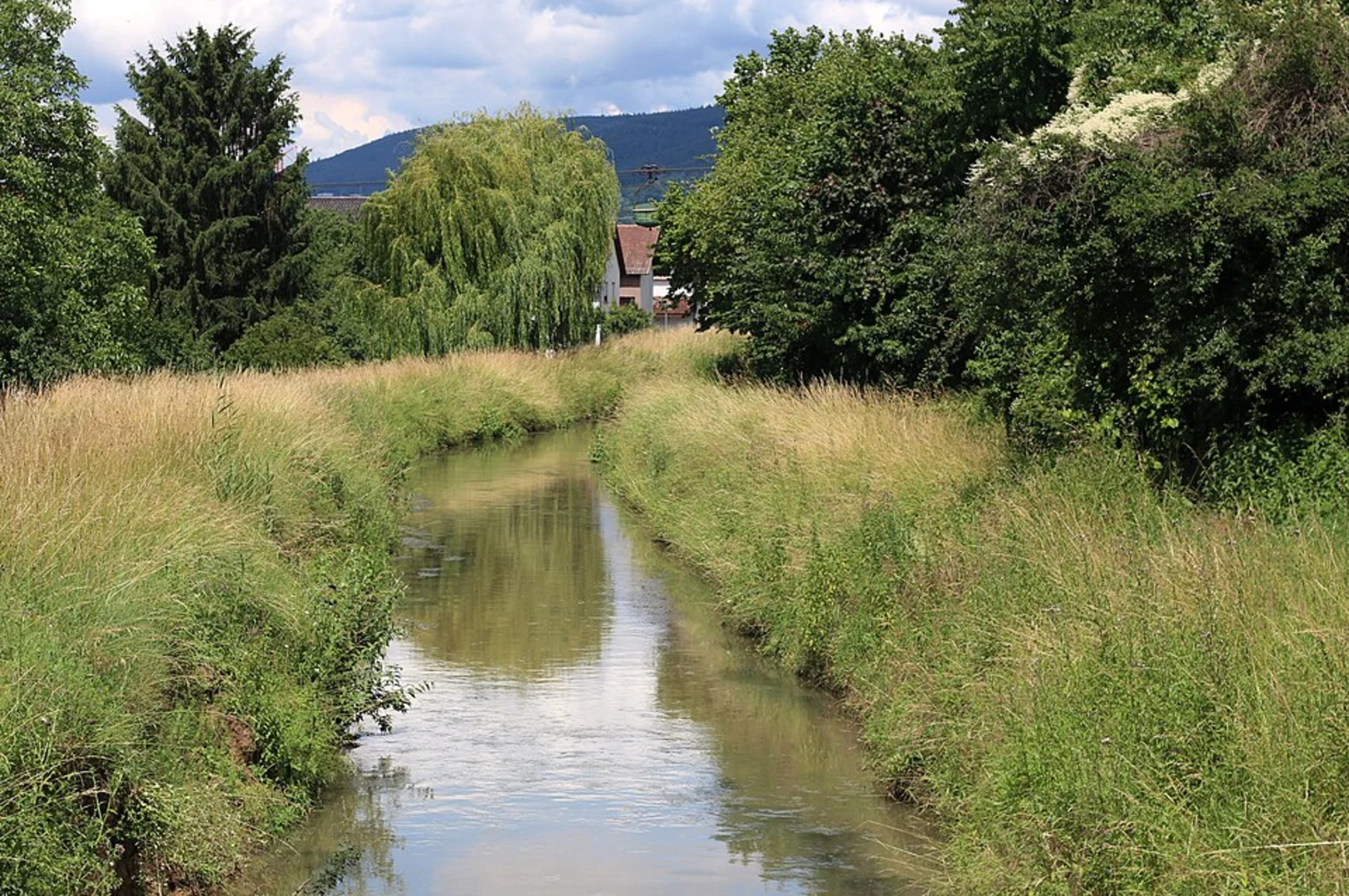 An image depicting the trail Rundwanderweg Wiesloch and Obst-Lehtpfad Nussloch and its surrounding area.