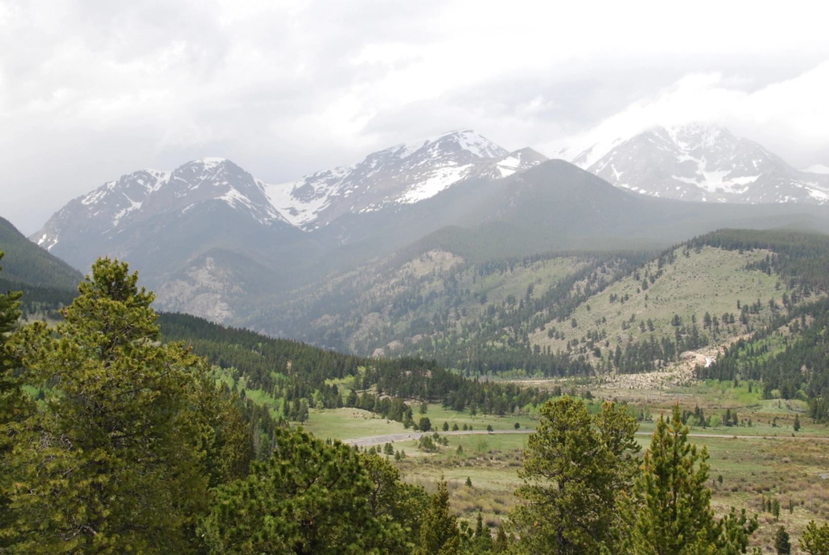 An image depicting the trail Deer Ridge - Moraine Park Trail and its surrounding area.