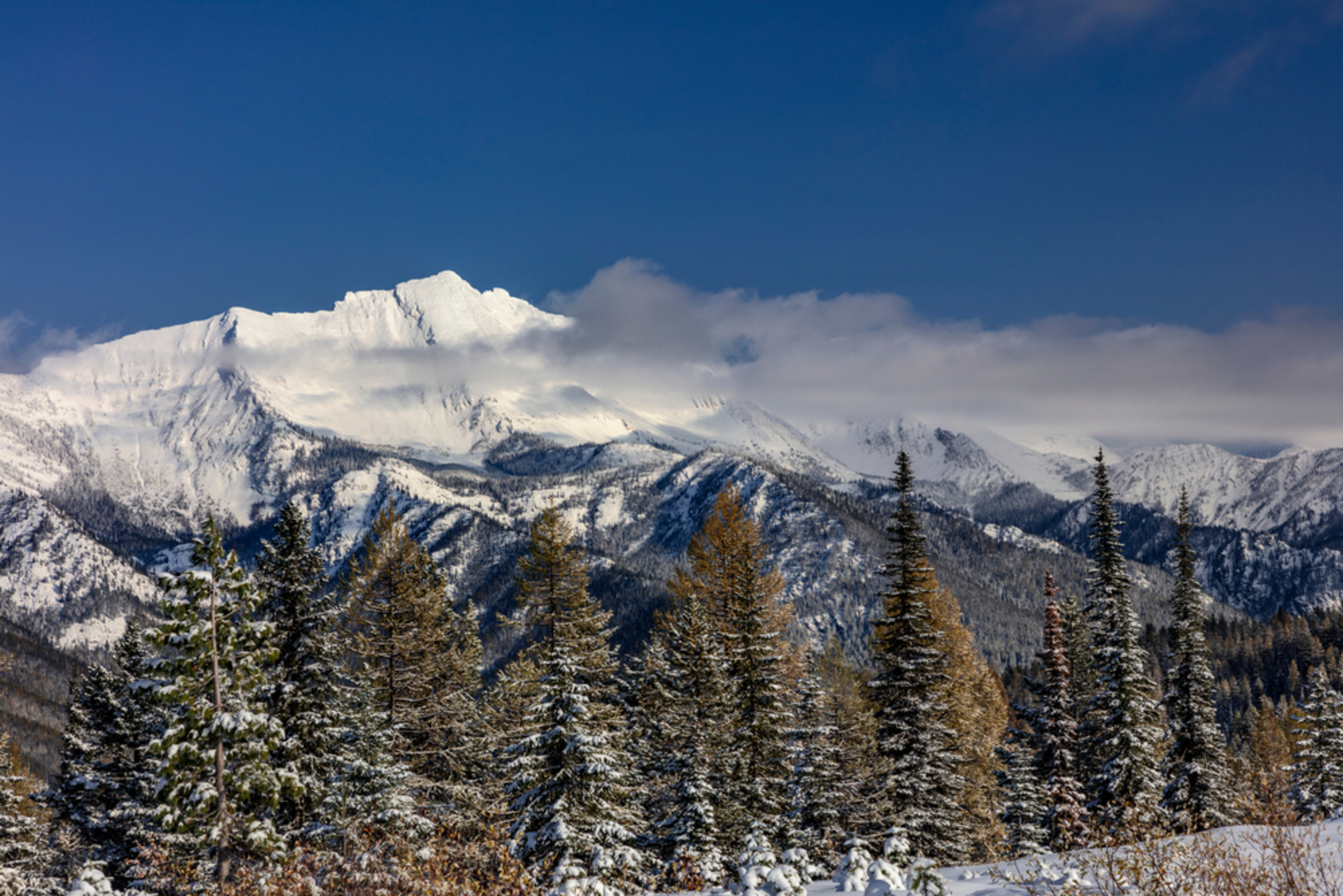 An image depicting the trail Libby Creek Trail and its surrounding area.
