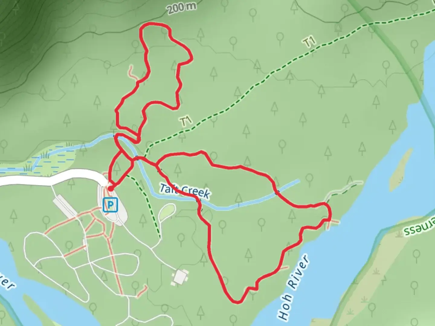 An image depicting the trail Hall of Mosses Trail and Spruce Nature Trail Loop and its surrounding area.