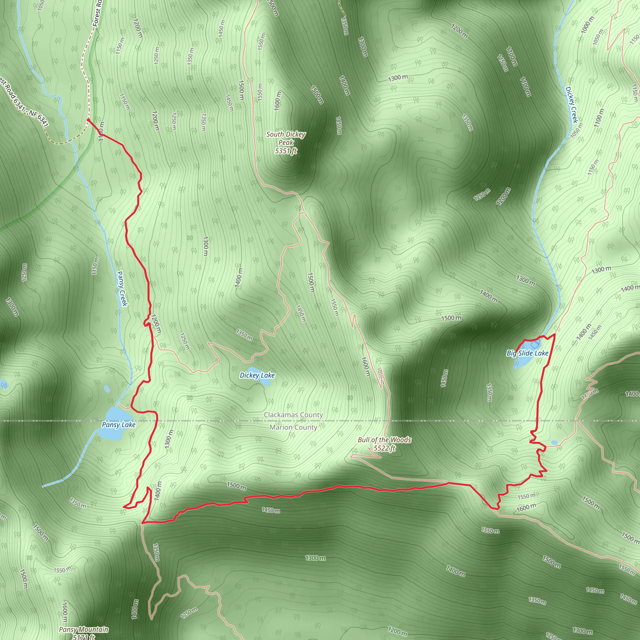 Big Slide Lake via Pansy Lake Trail mobile static map