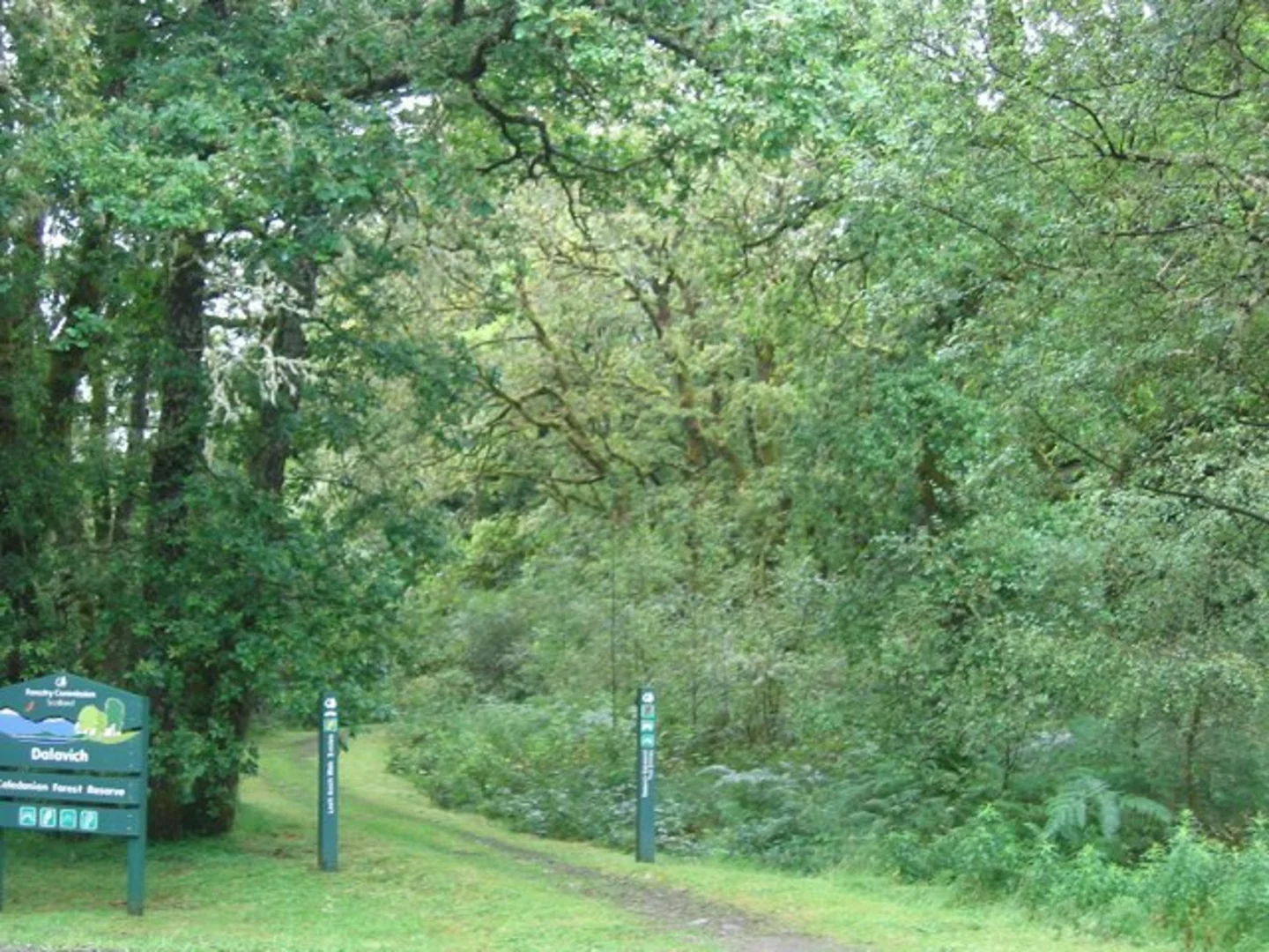An image depicting the trail Dalavich Oakwood Trail and its surrounding area.