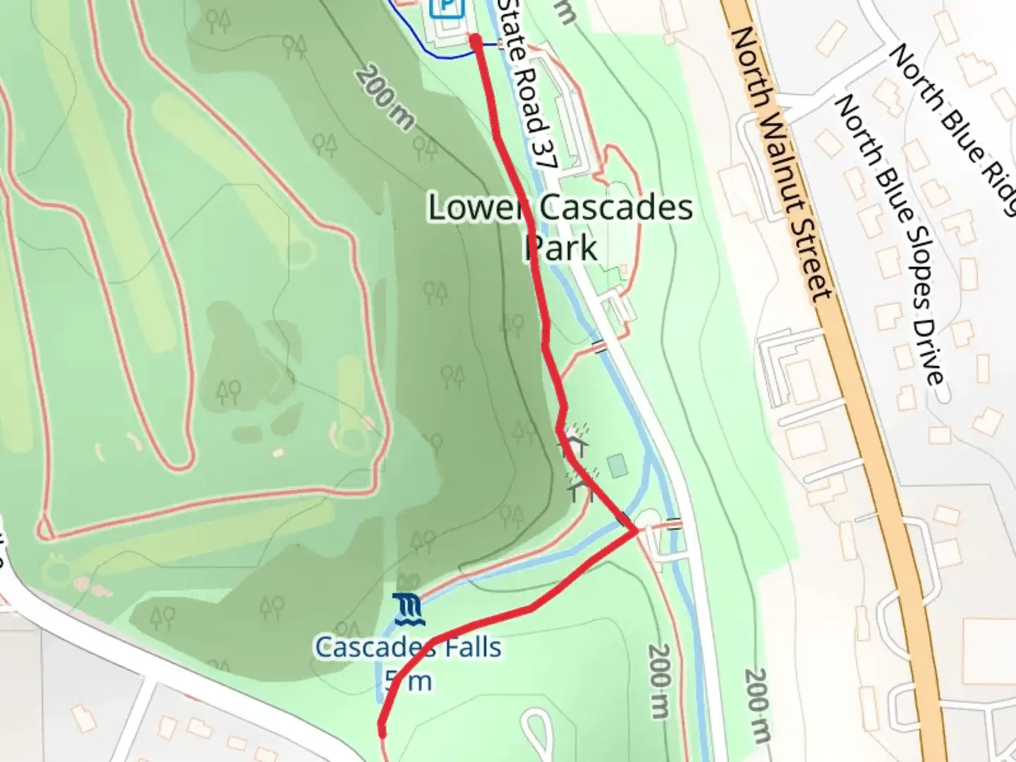 An image depicting the trail Lower Cascades Park and its surrounding area.