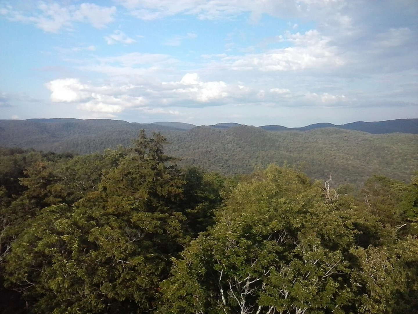 An image depicting the trail Kane Mountain Trail and its surrounding area.