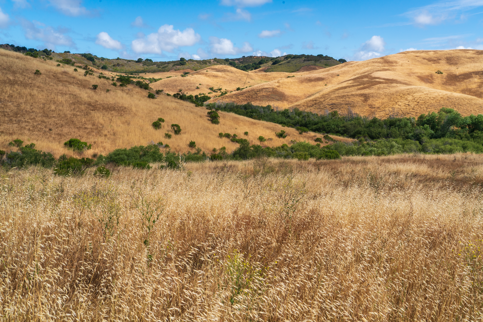 An image depicting the trail Mudhen Lake via Jerry Smith Cooridor and its surrounding area.