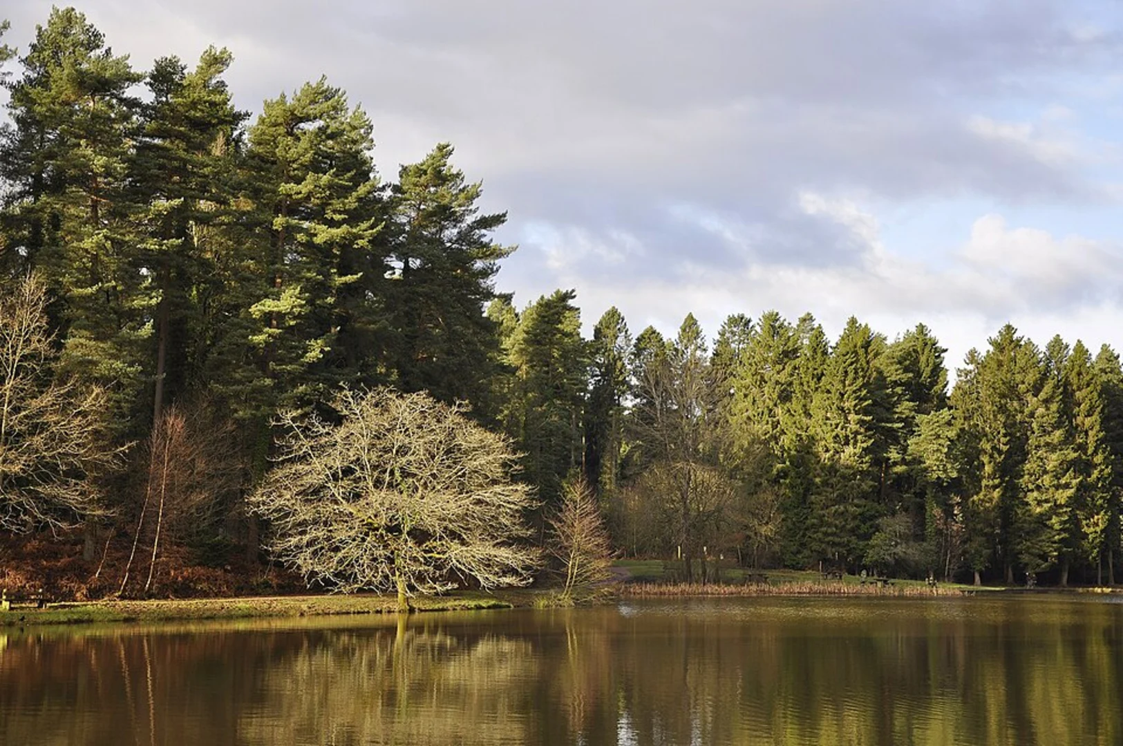 An image depicting the trail Mallards Pike and its surrounding area.