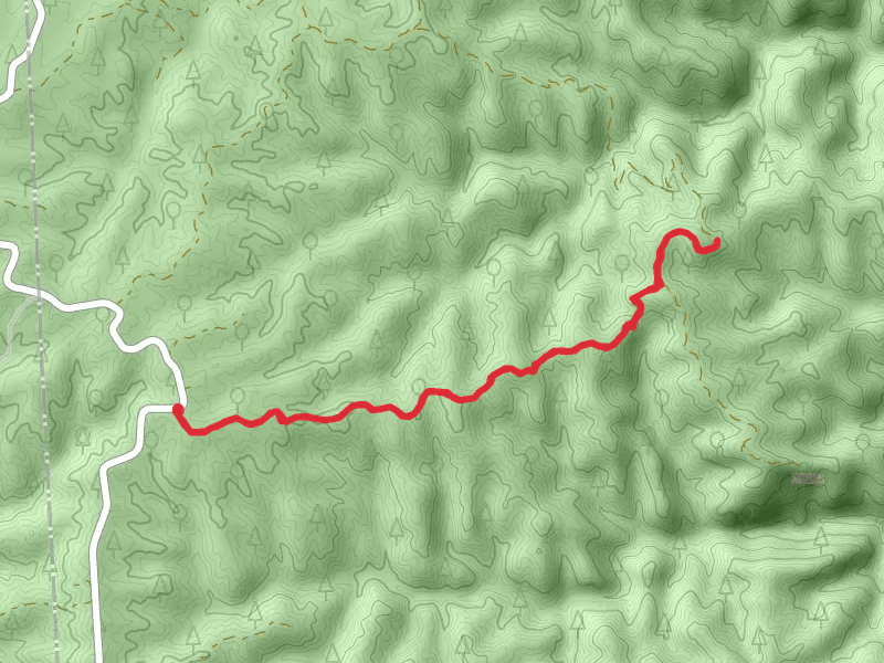 Forest Road 323 Winding Stairs