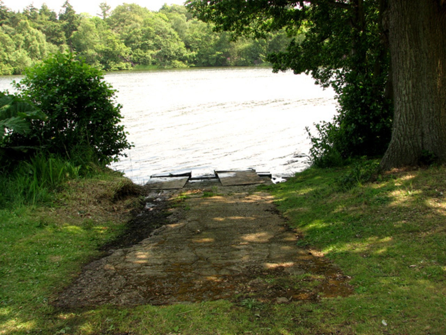 An image depicting the trail Fritton Lake Country Park and its surrounding area.
