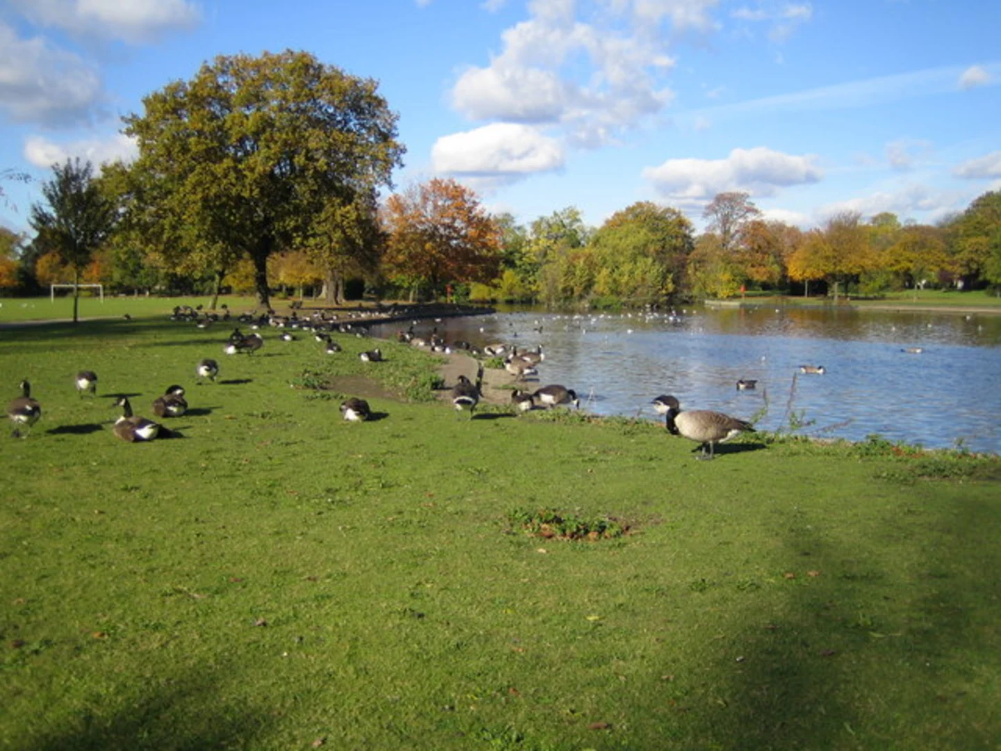An image depicting the trail Highwood Local Nature Reserve and South Lake Park Loop and its surrounding area.