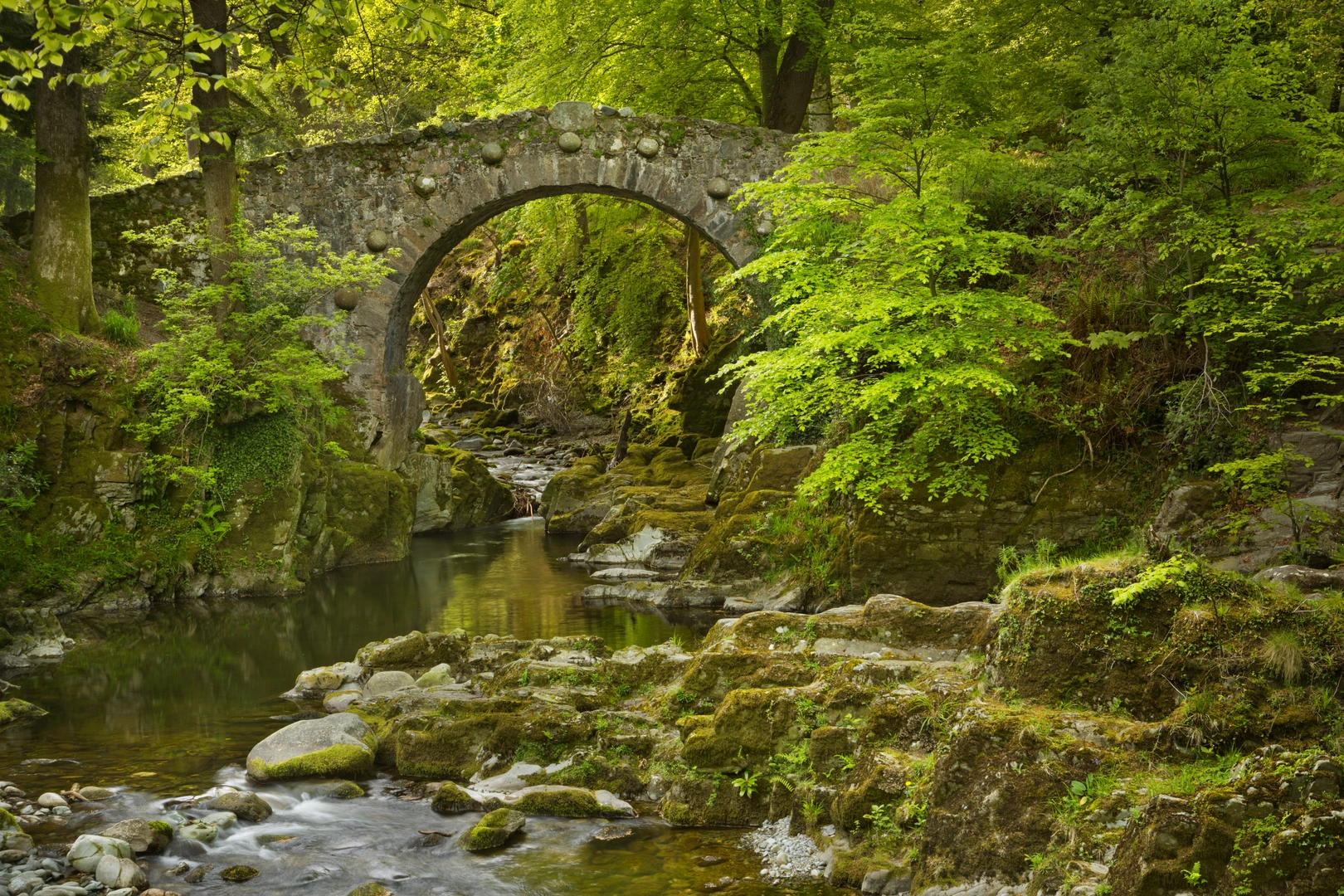 An image depicting the trail Tollymore Forest Mountain Trail and its surrounding area.