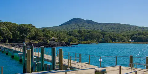 An image depicting the trail Islington Bay Road, Summit Road, and Summit Track Loop and its surrounding area.