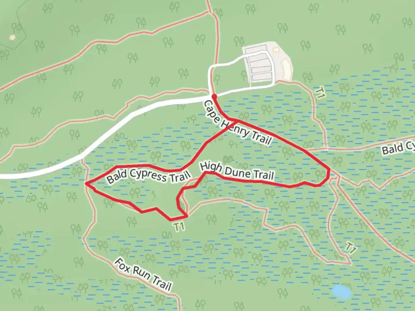 An image depicting the trail Bald Cypress, High Dune and Cape Henry Loop and its surrounding area.