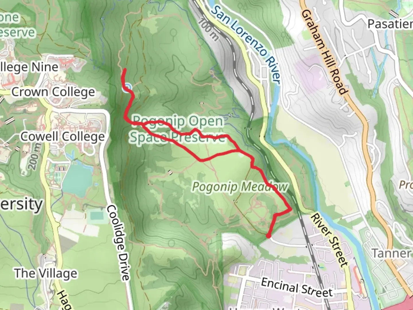 An image depicting the trail Lower Meadow, Ohlone and Brayshaw Loop Trail and its surrounding area.