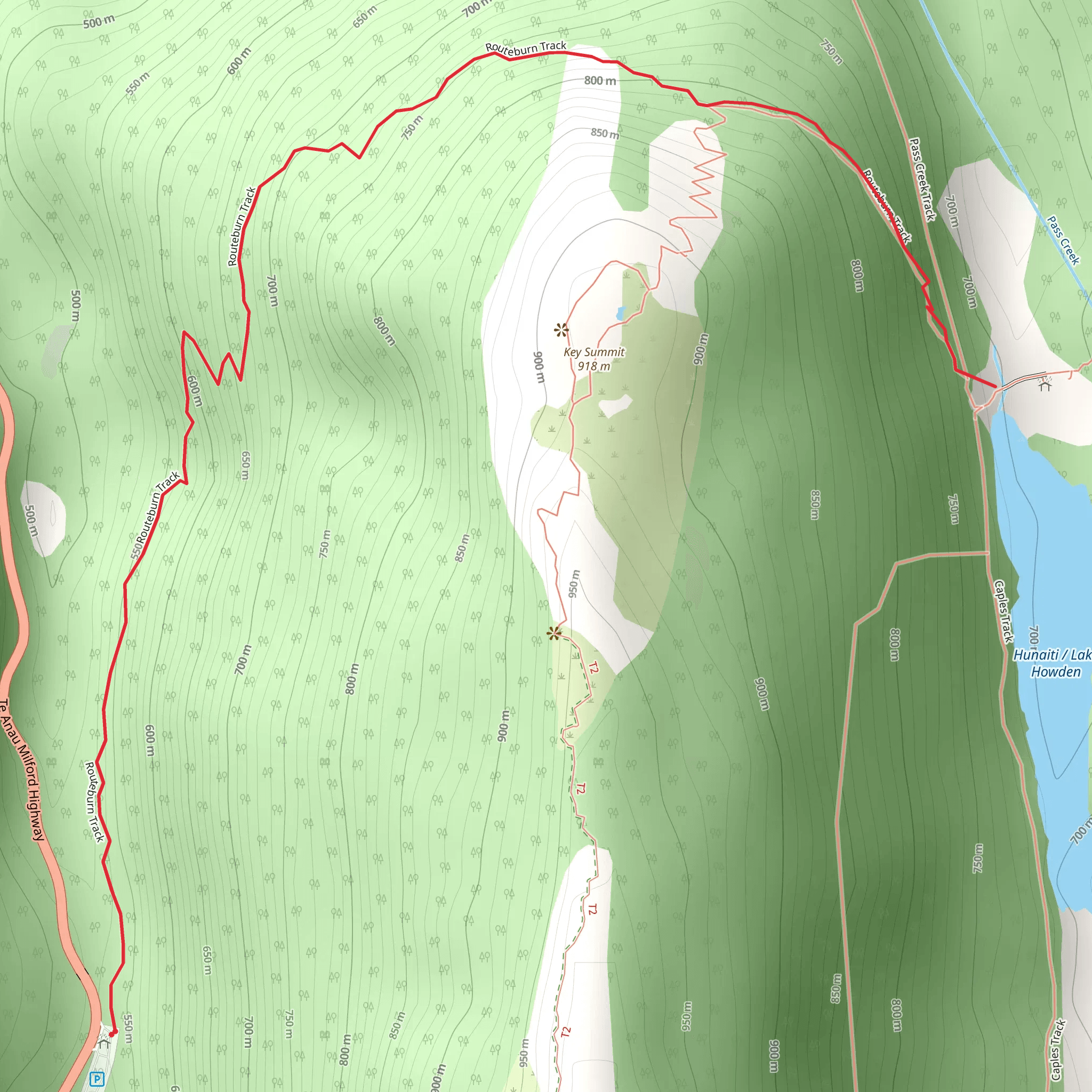 Routeburn Track - Lake Howden Track mobile static map