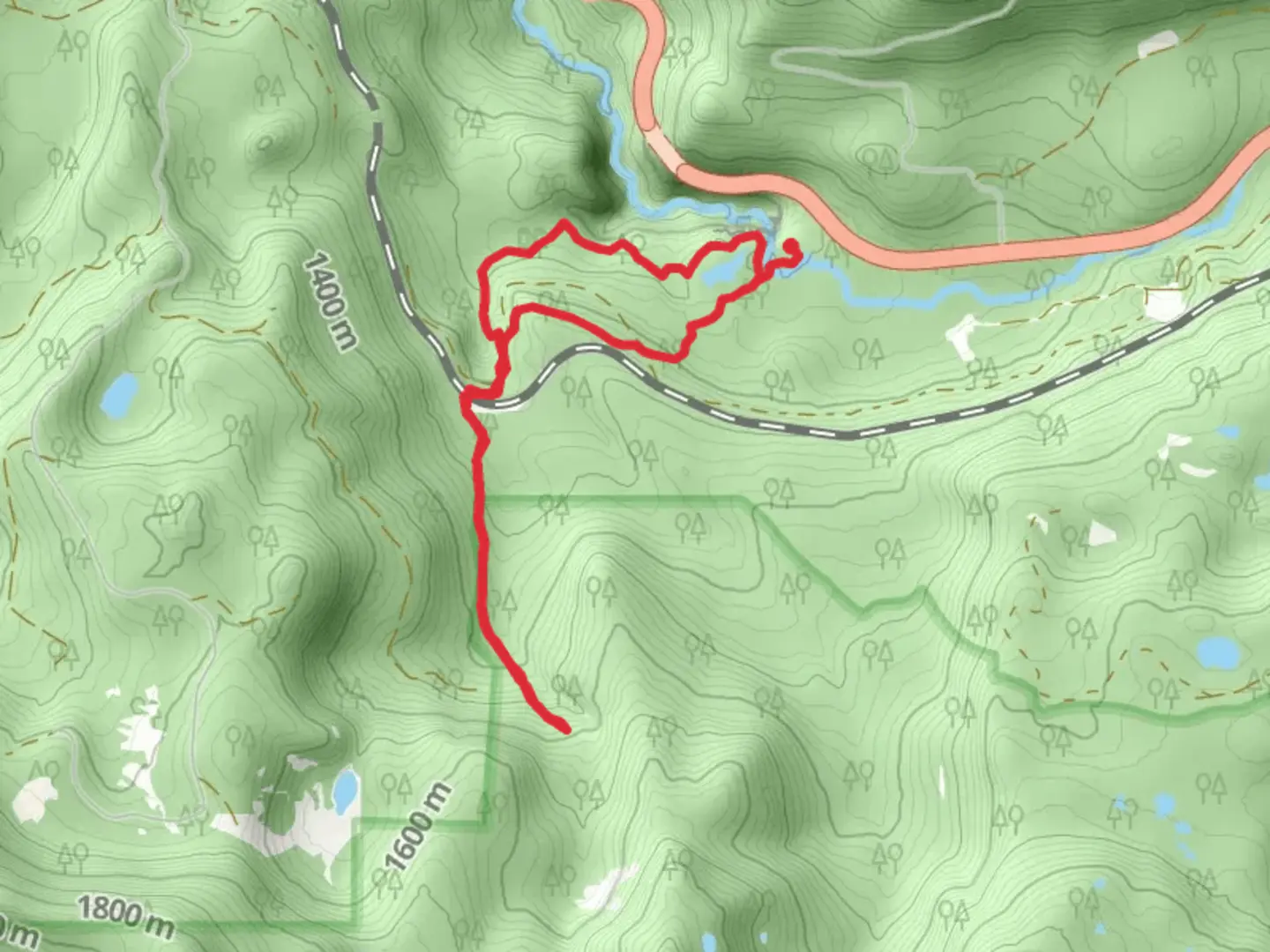 An image depicting the trail Too Much Bear Lake, Fall Creek - Diamond Creek Falls Loop Trail and its surrounding area.