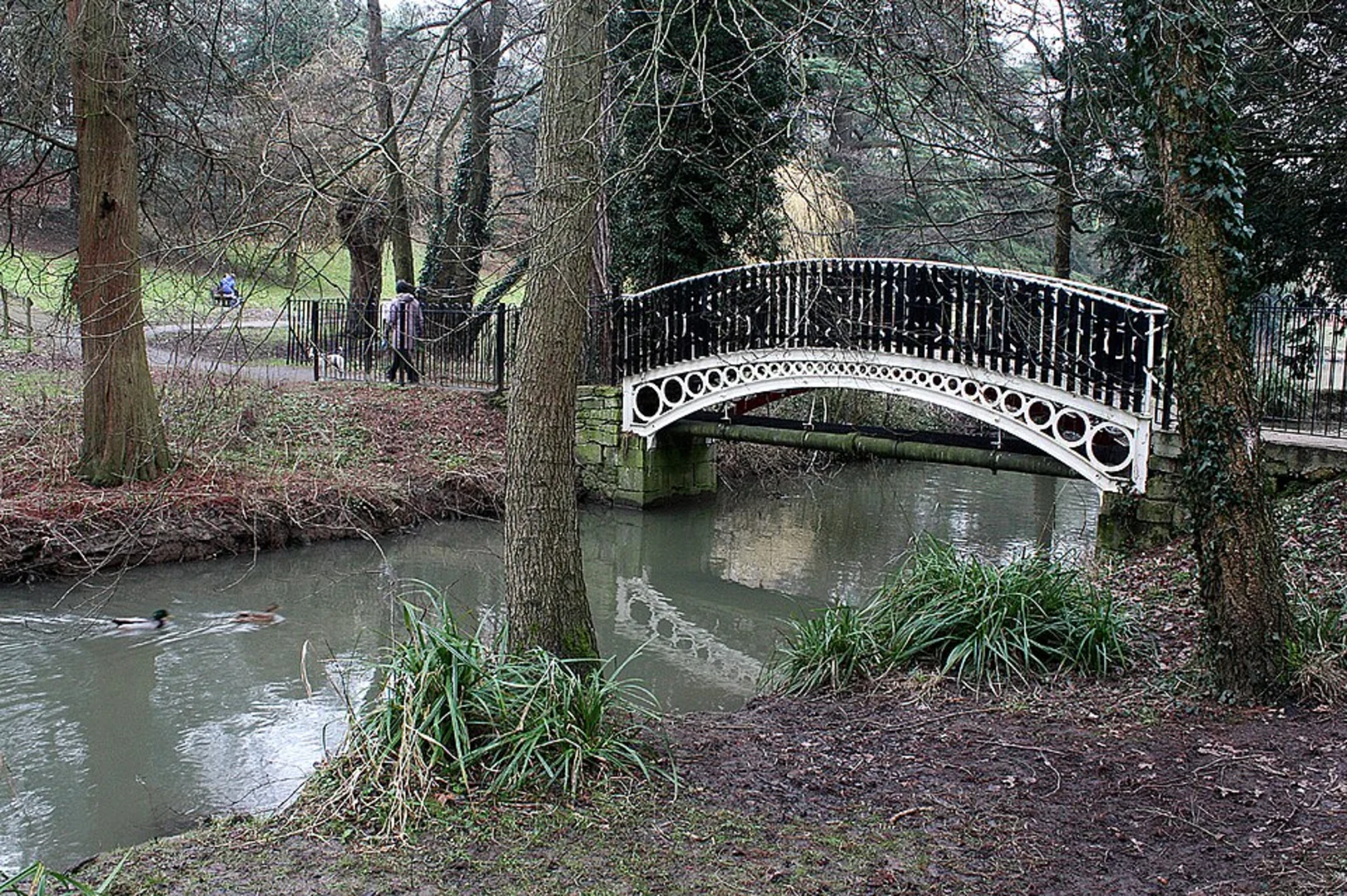 An image depicting the trail Callowell Loop and its surrounding area.