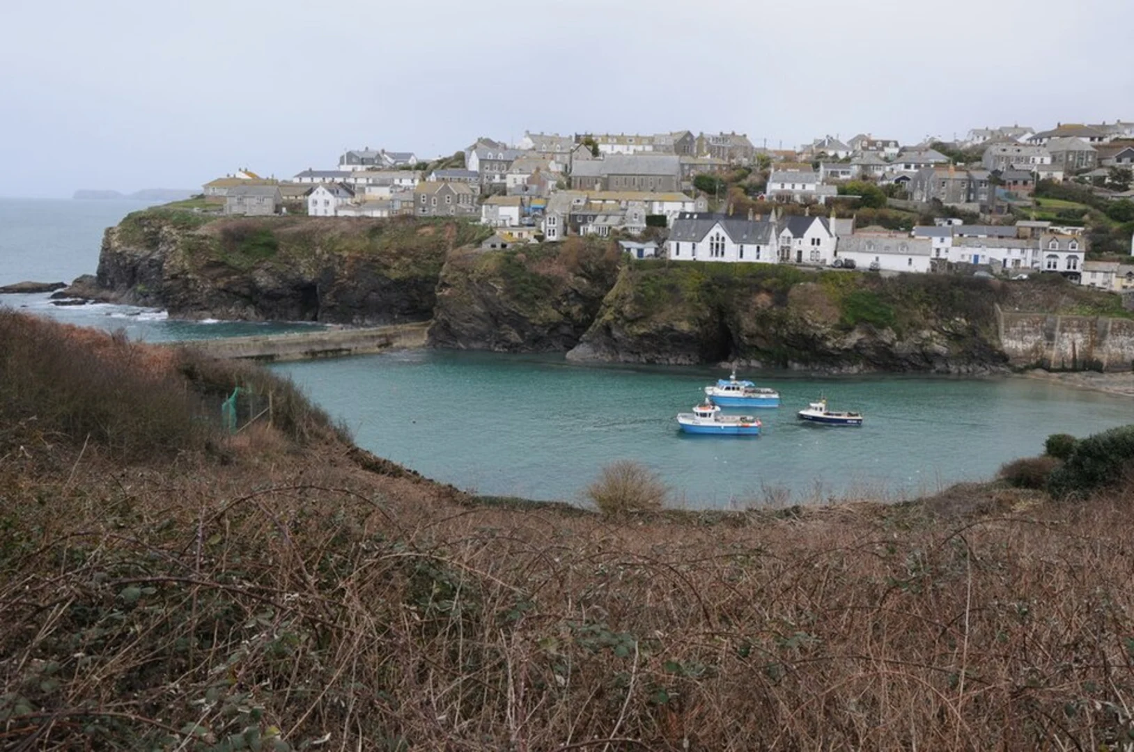 An image depicting the trail Port Issac Loop and its surrounding area.