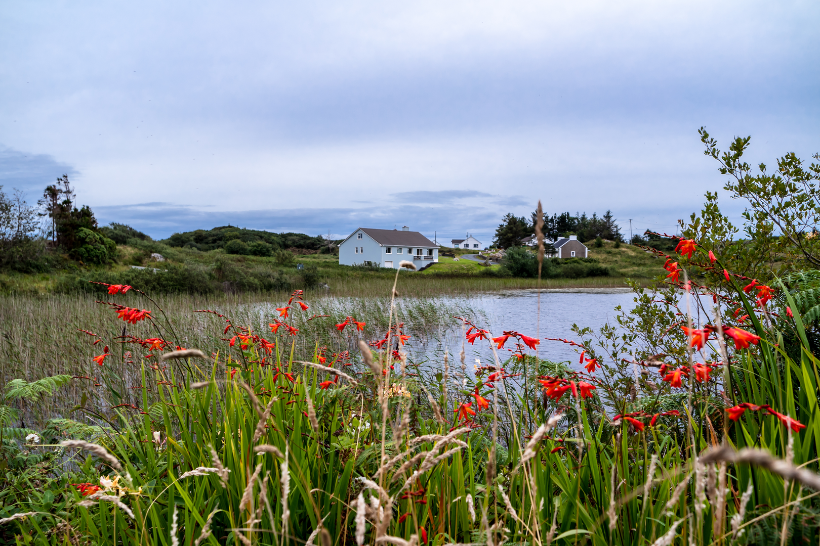 An image depicting the trail Bonny Glen Wood - Lough Namanlagh Trail and its surrounding area.