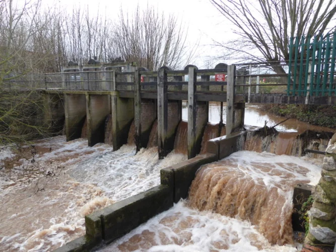 River Tone and Children's Wood Loop