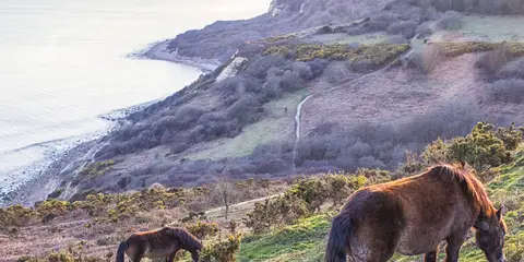An image depicting the trail 1066 Country Walk - Hastings Link and its surrounding area.