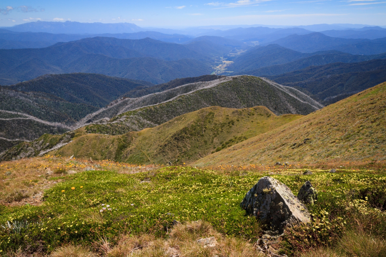 An image depicting the trail Mount Feathertop Trail - The Razorback and its surrounding area.