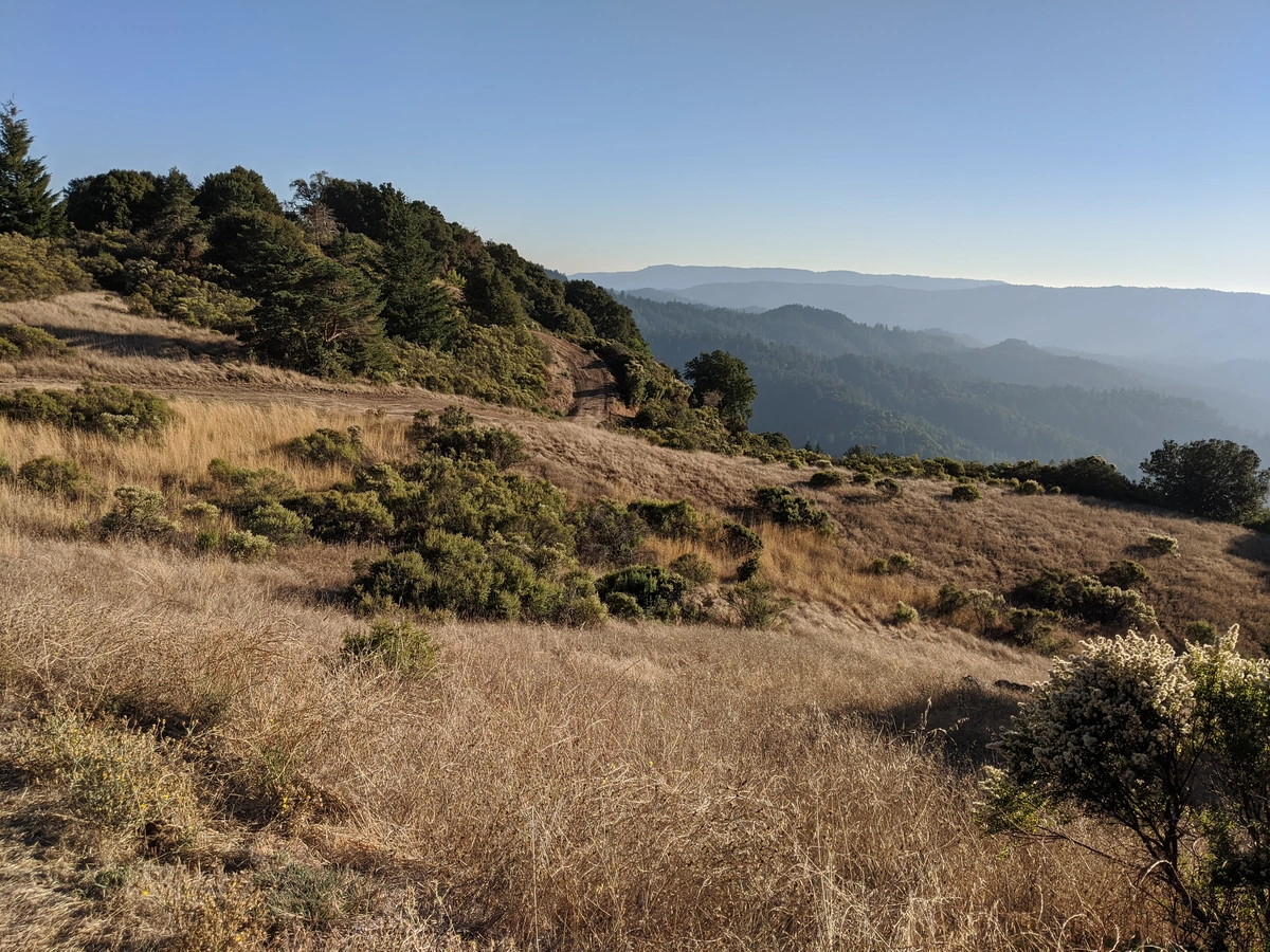 Horseshoe Lake and Sunny Jim Trail