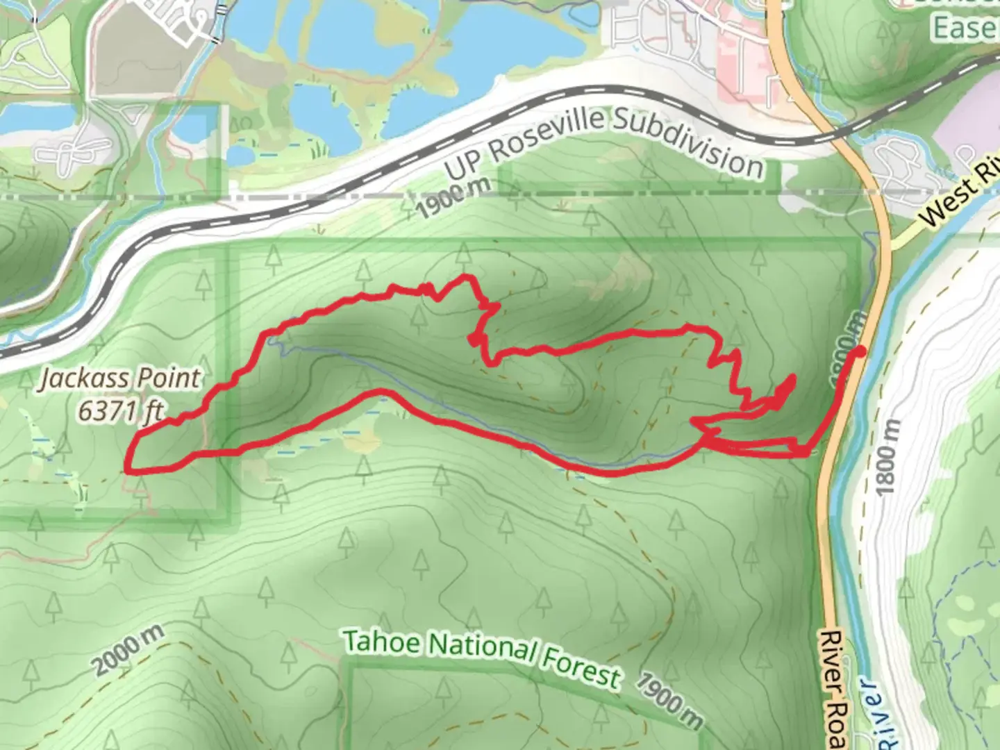 An image depicting the trail Donkey Town Loop Trail and its surrounding area.