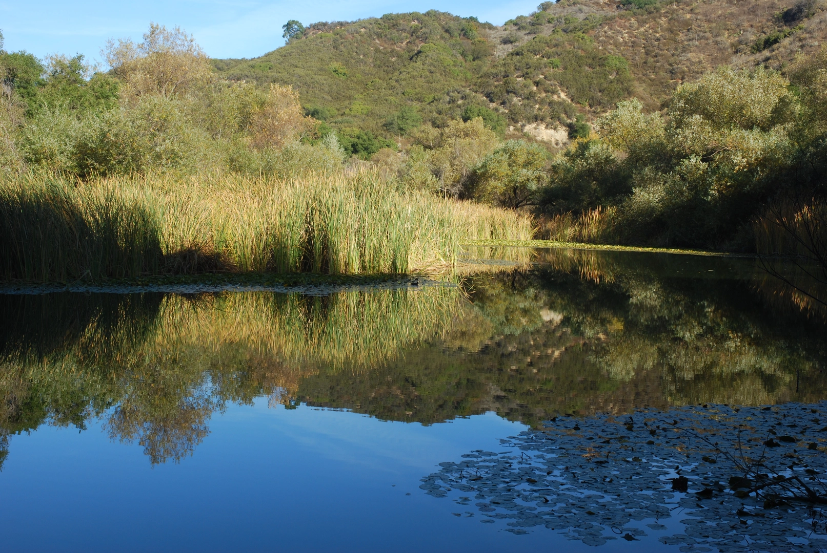 An image depicting the trail Century Lake, Malibu Creek and Rock Pool via Grasslands Trail and its surrounding area.