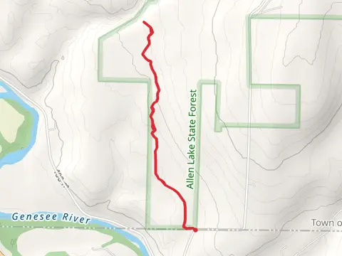 Hidden Falls - Trail