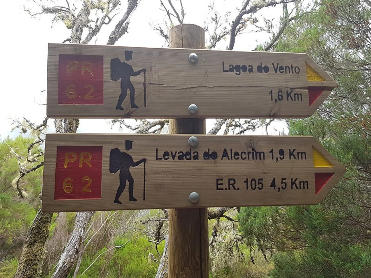 An image depicting the trail Levada da Rocha Vermelha and its surrounding area.
