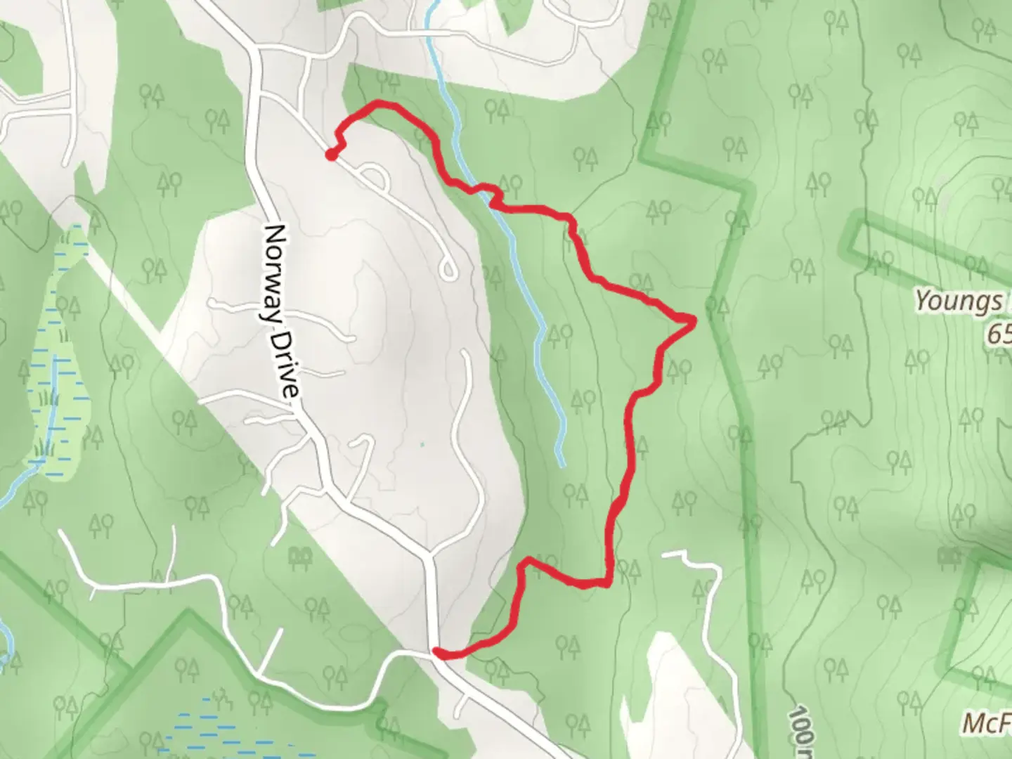 An image depicting the trail Acadian Woods Road Trail and its surrounding area.