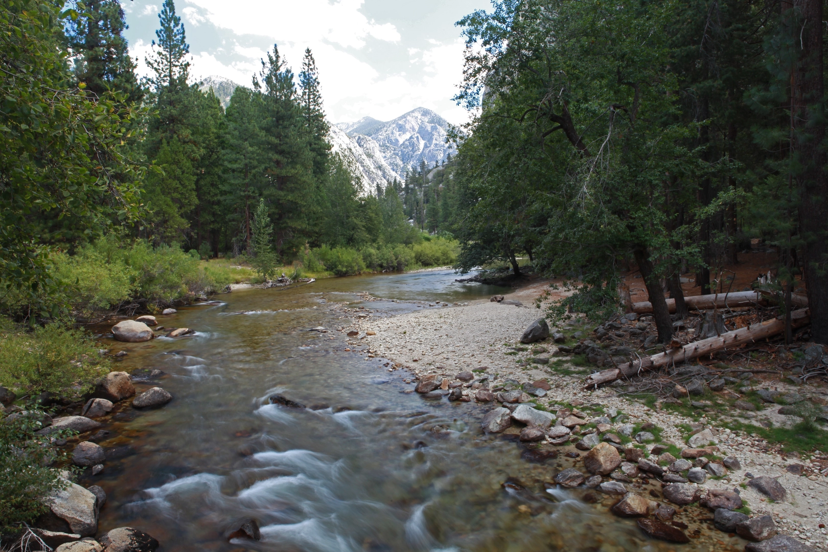 An image depicting the trail Tar Gap Trail Out and Back and its surrounding area.