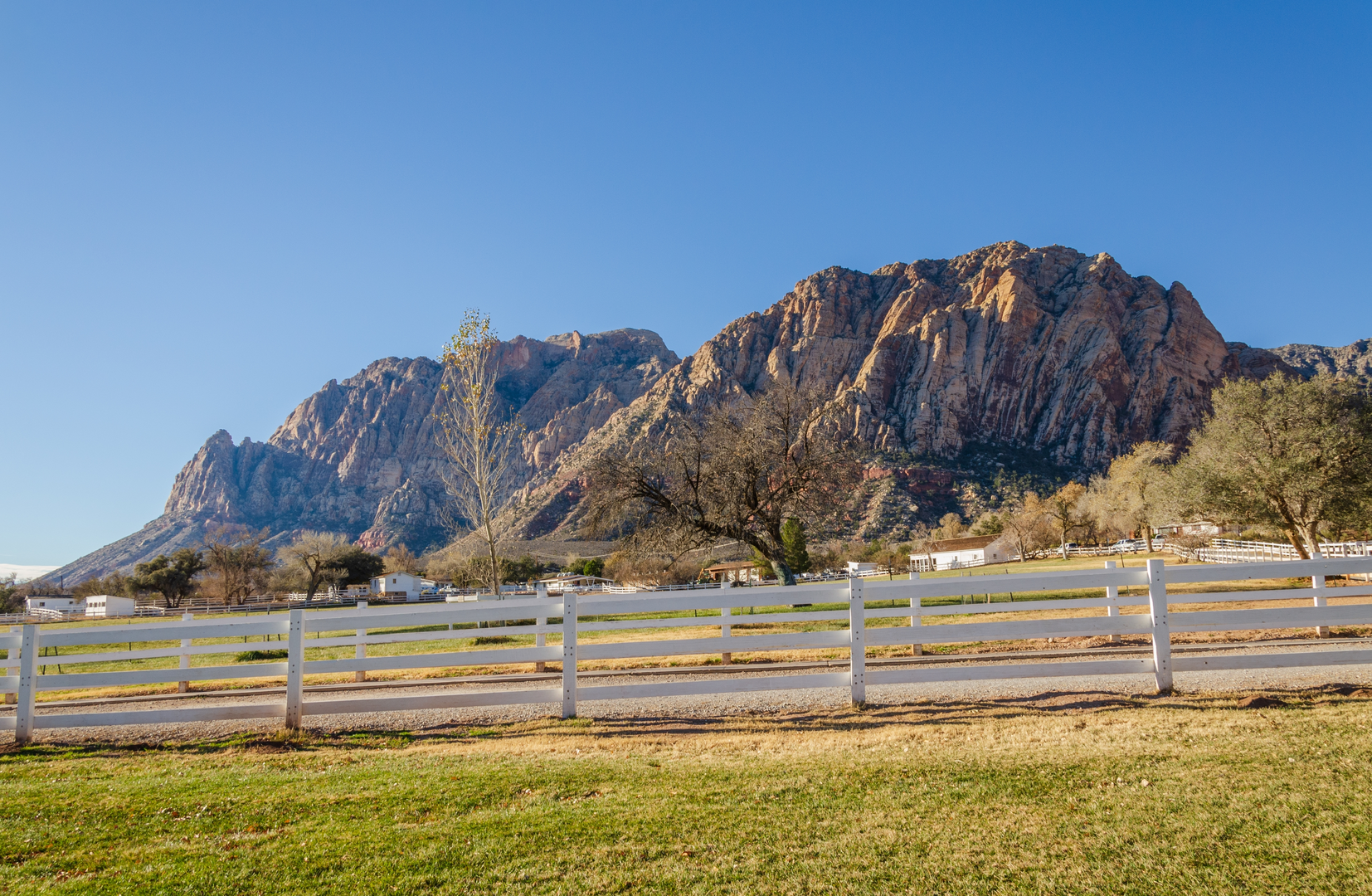 An image depicting the trail Cottonwood Springs Oasis and its surrounding area.