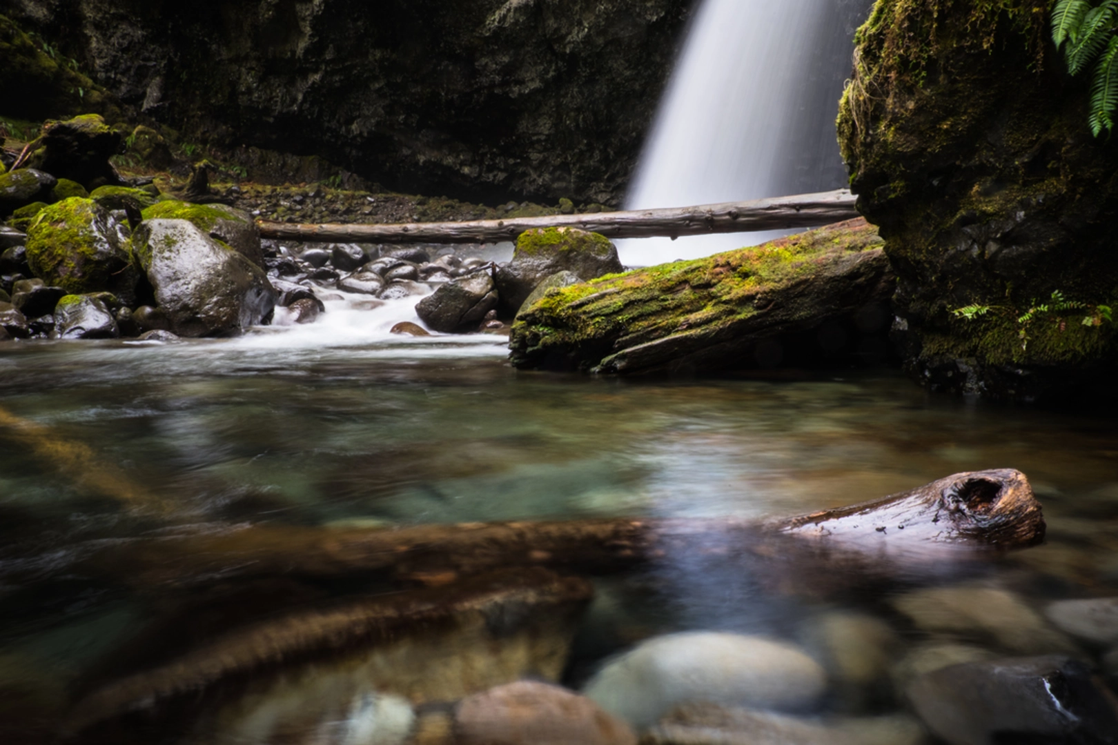 An image depicting the trail Oneonta Trail and its surrounding area.